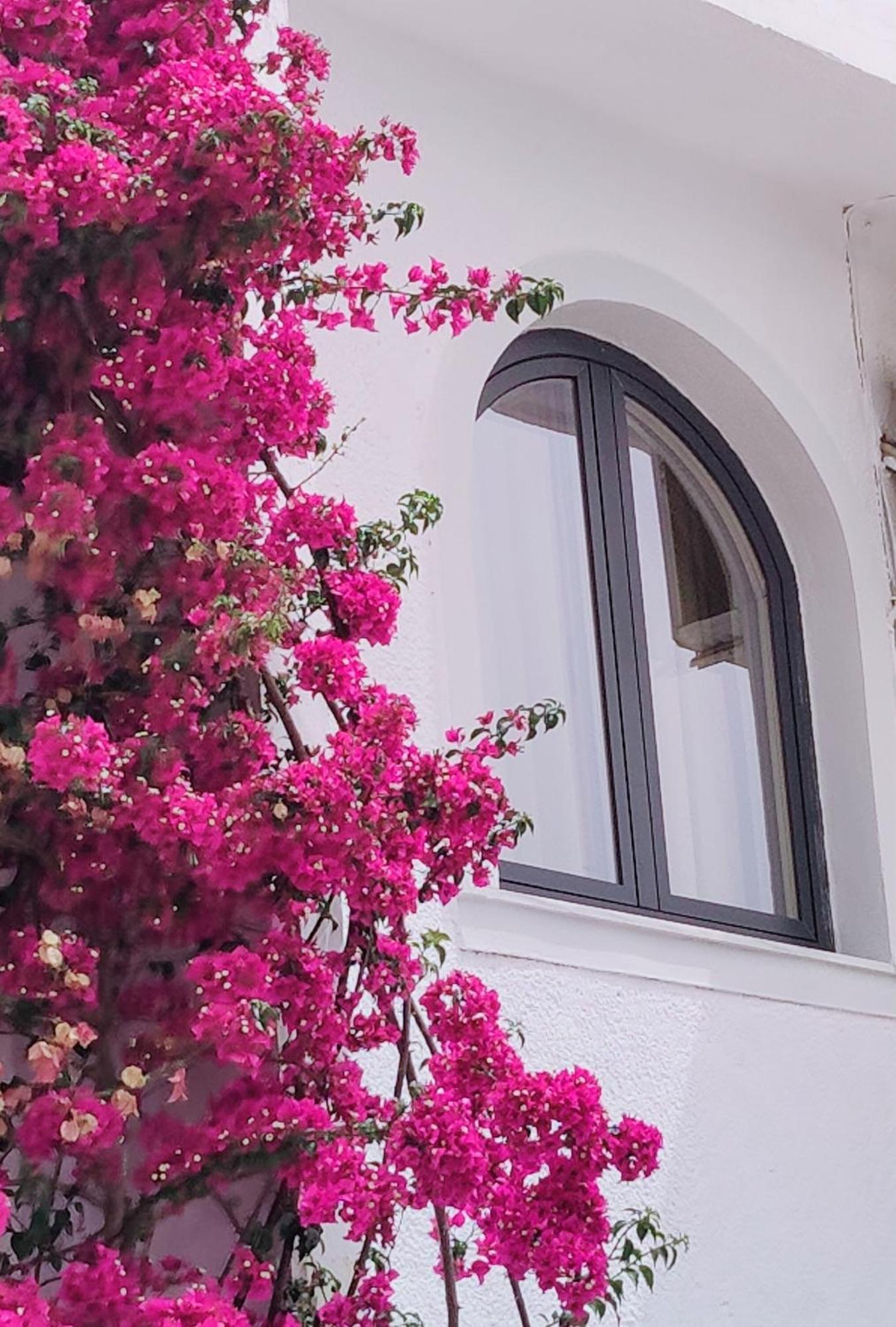 סרנדה Villa Margarit Boutique Hotel מראה חיצוני תמונה
