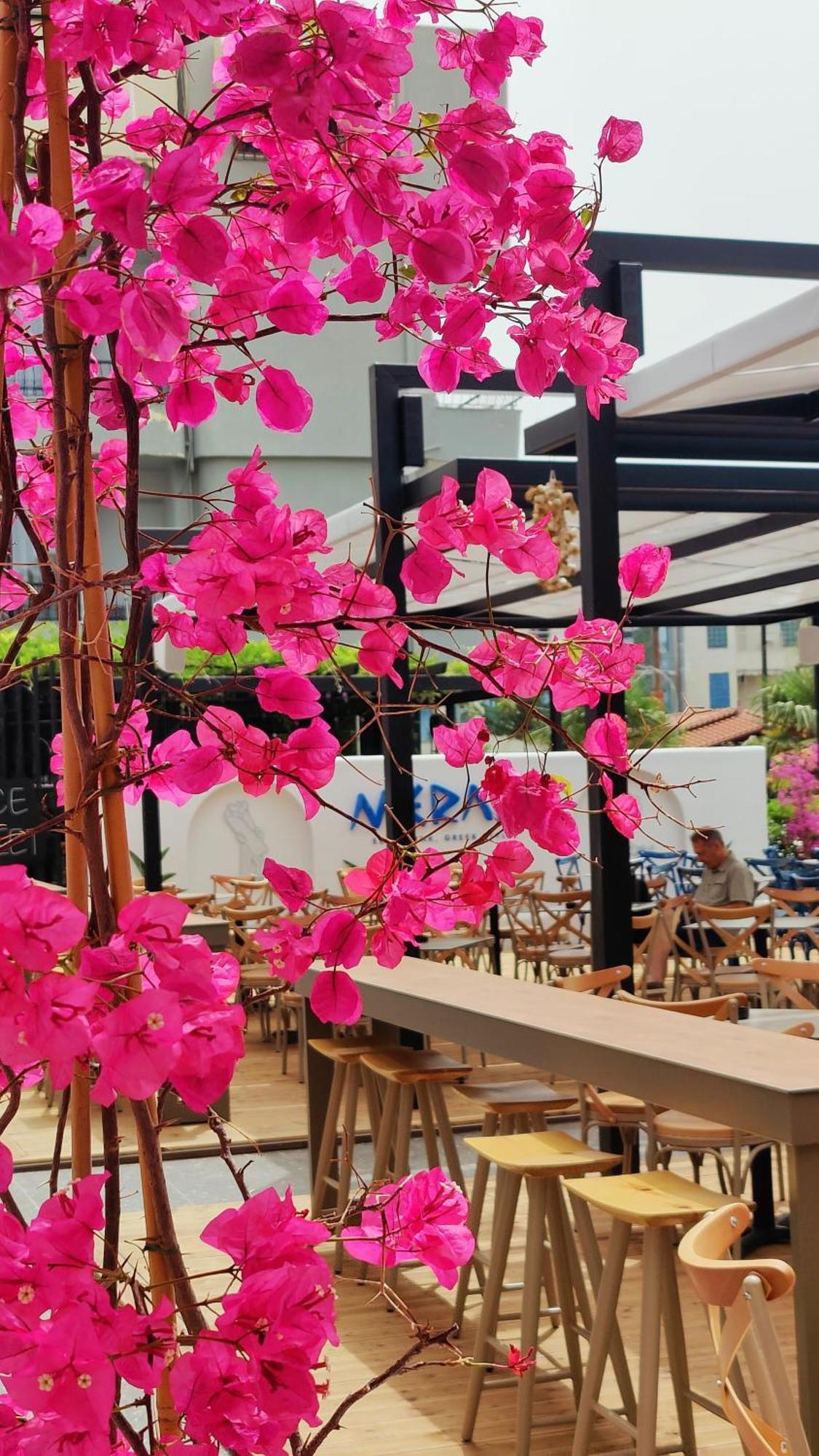 סרנדה Villa Margarit Boutique Hotel מראה חיצוני תמונה